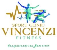 logo vincenzi